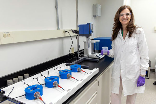 ACCENT Center Executive Director Denise Antunes da Silva is part of the ORNL senior research & development team. She arrived after a 15-year tour with GCP Applied Technologies and the Quikrete Custom Building Products business.